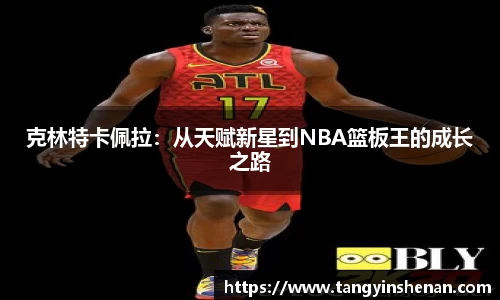 克林特卡佩拉：从天赋新星到NBA篮板王的成长之路